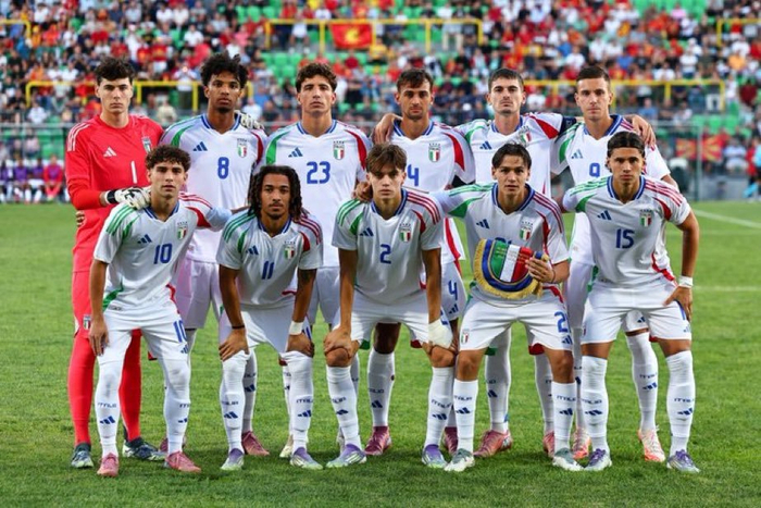 波斯尼亚逆袭击败爱尔兰，晋级欧预选赛的简单介绍