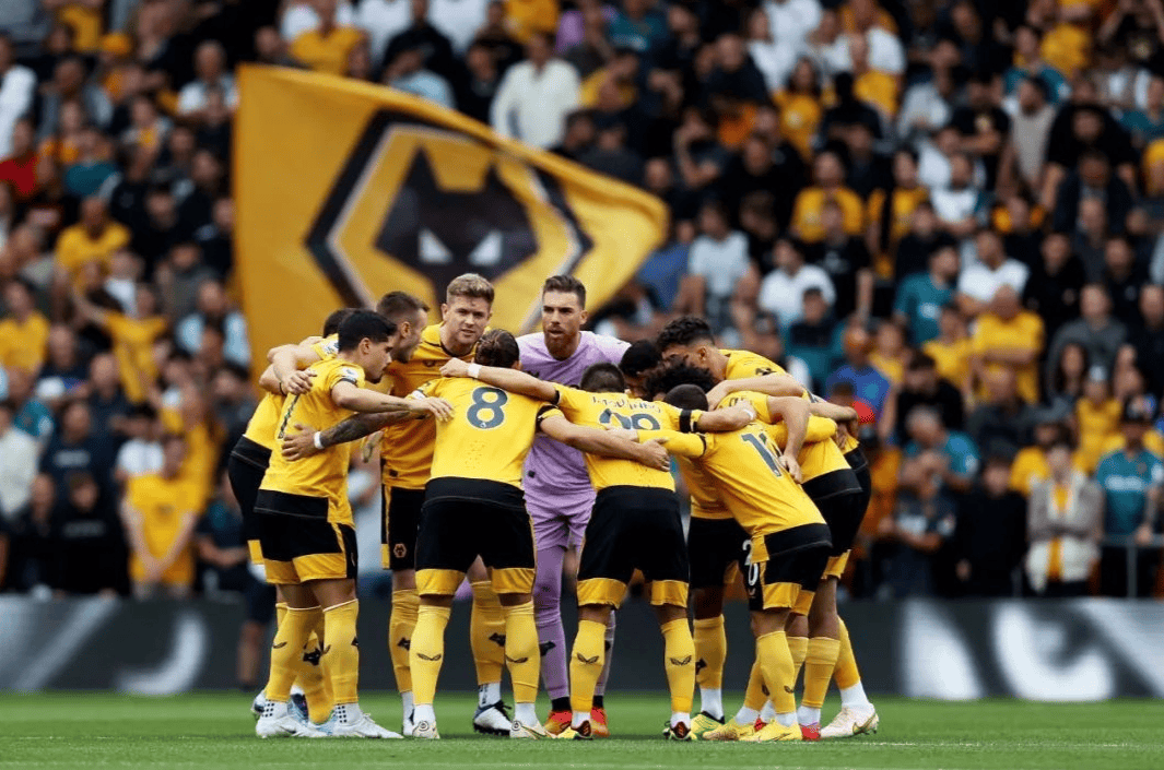 雷火电竞合作-南安普顿客场-击败狼队，胜利来之不易的简单介绍