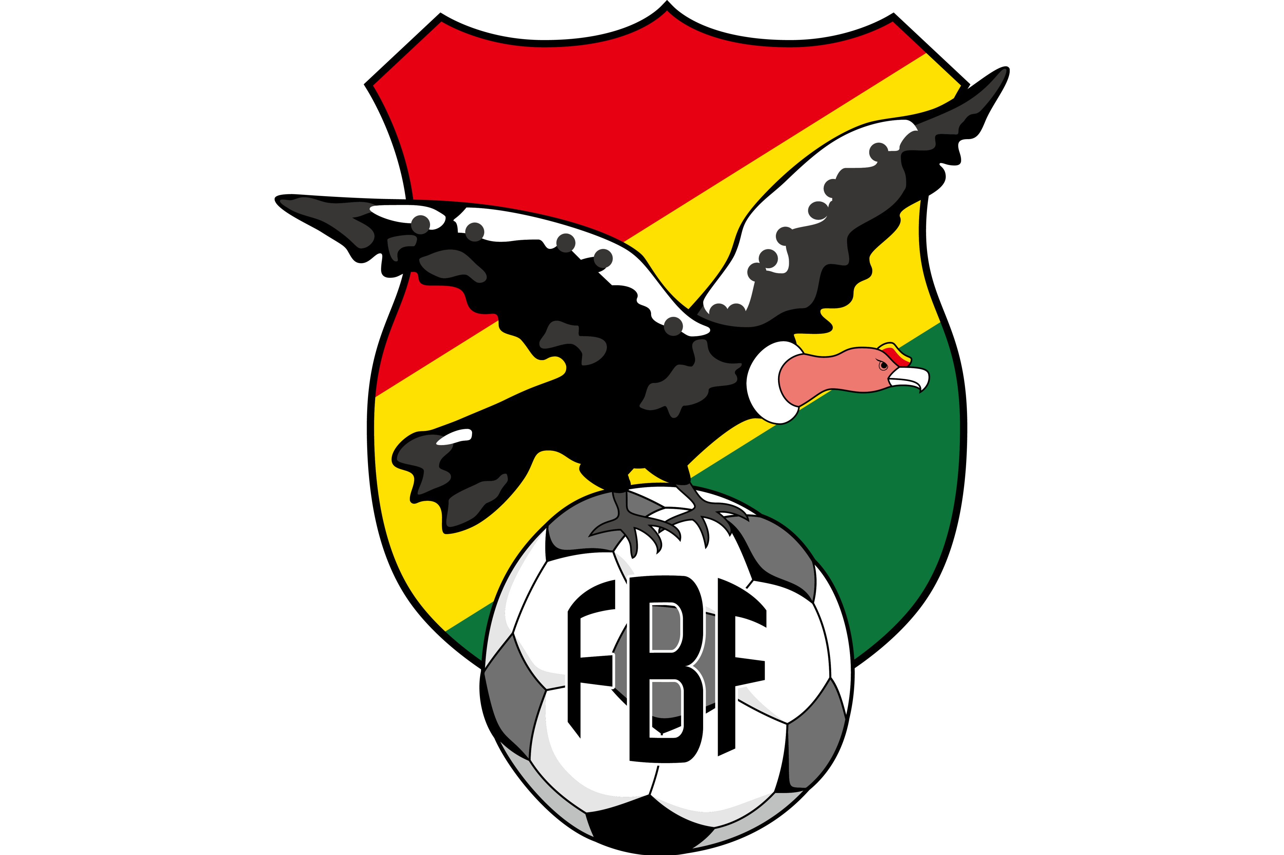 关于玻利维亚队备战欧洲预选赛，积极备战的信息