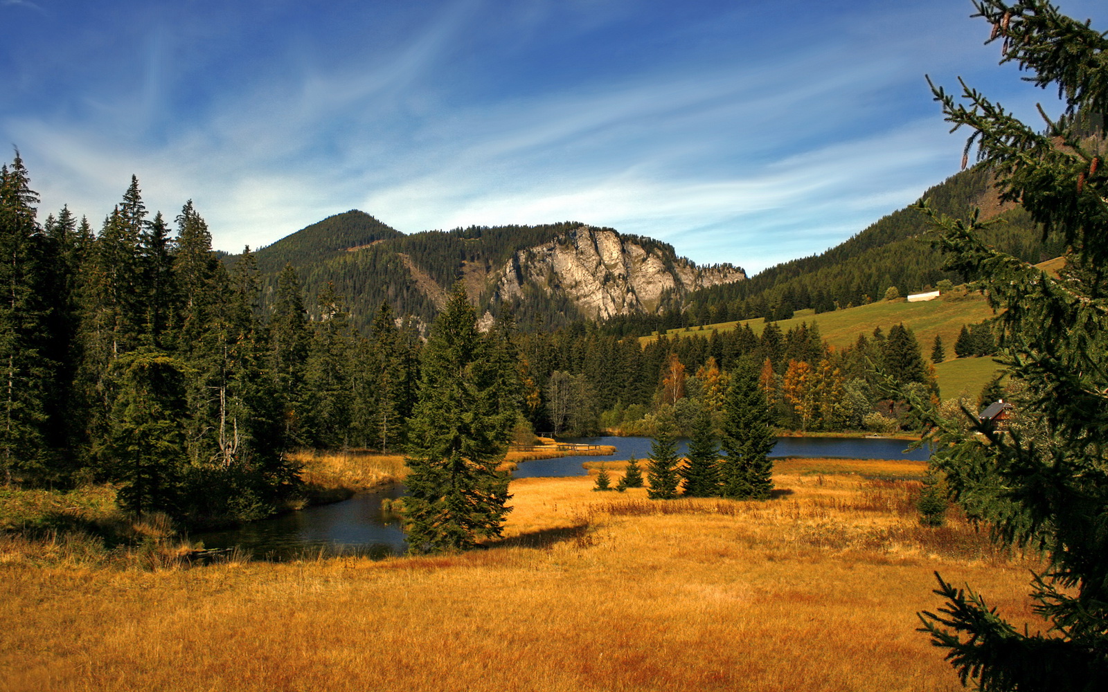 雷火电竞合作-费城巨兽的统治之夜，恩比德压制级演出如何碾过快船防线？