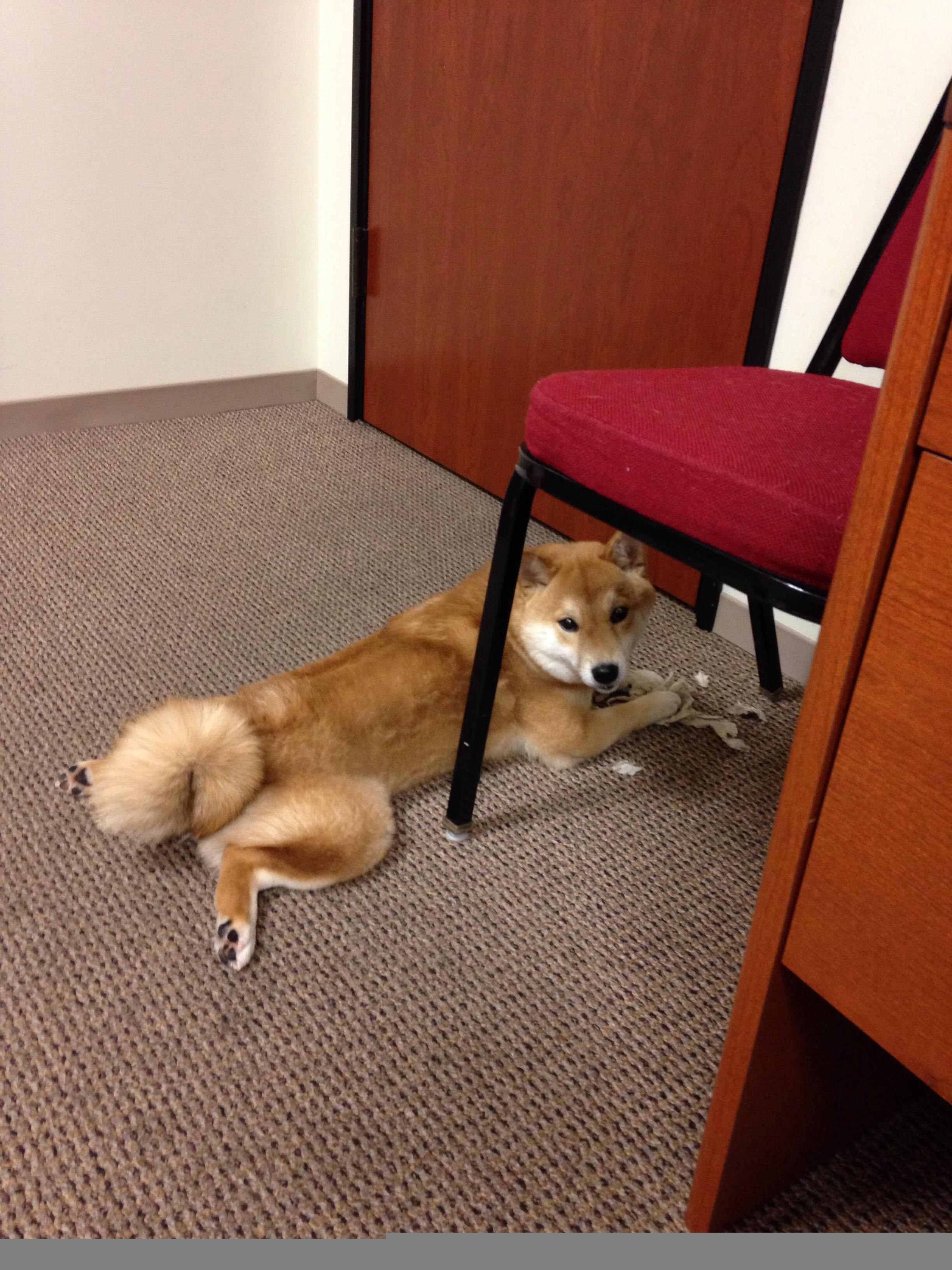 雷火电竞亚洲先驱-悬念终结者，从吉林到都灵，体育世界的关键先生