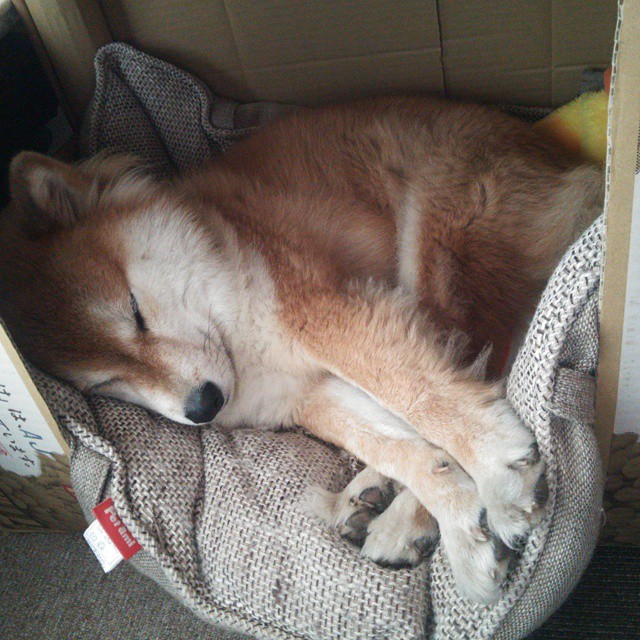 东方逆袭,孔德,那个在总决赛让亚特兰大翻盘日本的幽灵