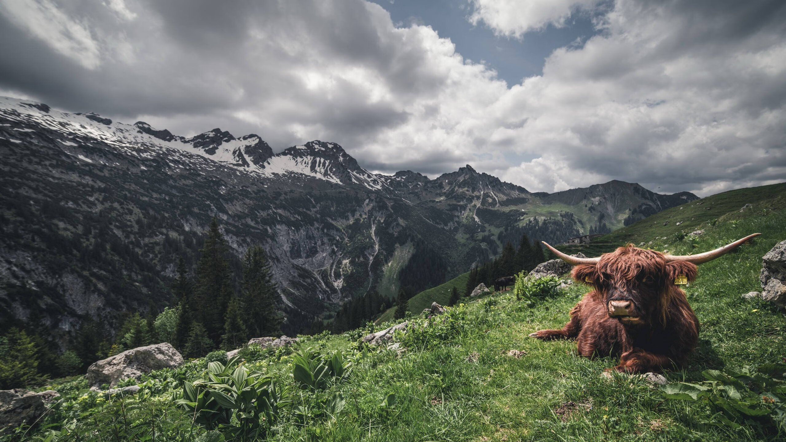 时代终章与新王当立，喀麦隆压哨绝杀与罗德里连续得分拉开差距的双重奏