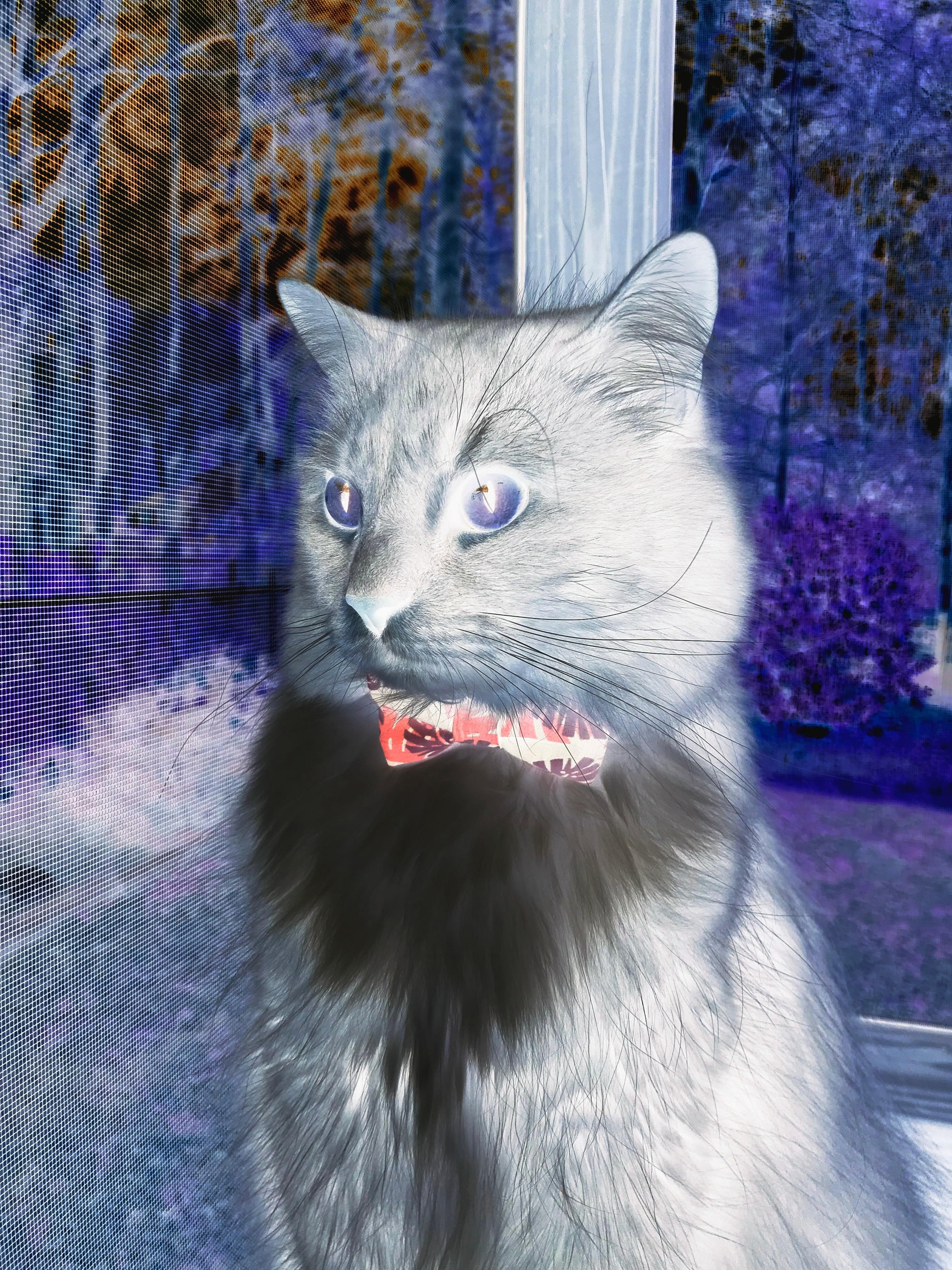 南美利刃收割东亚防线,萨内关键先生铸就厄瓜多尔对华胜利