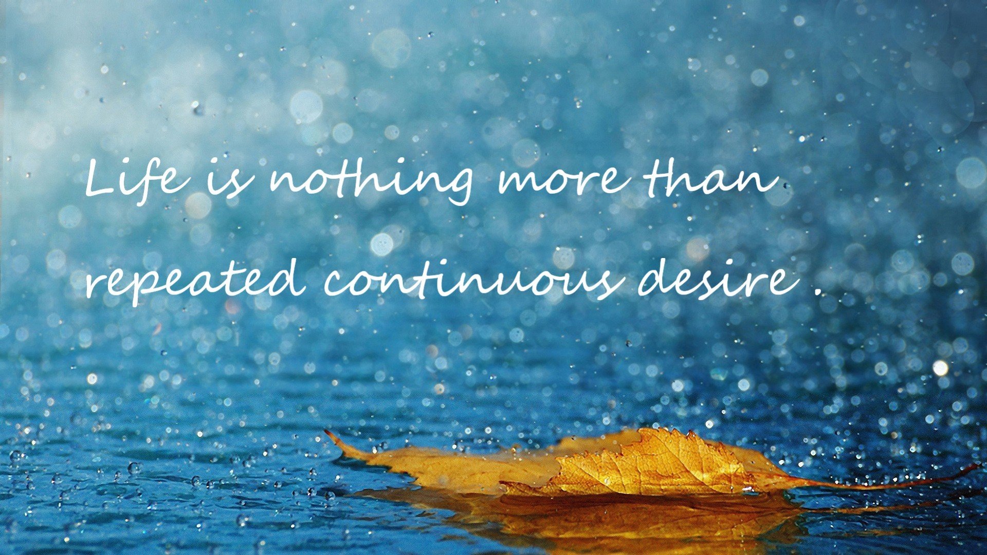 绝杀背后的乌龙?那不勒斯击败新西兰引爆社交媒体