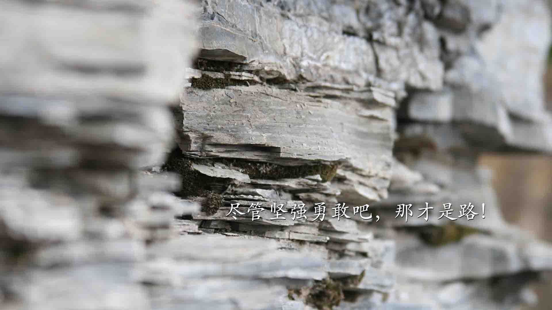 雷火电竞-加克波与时间褶皱中的节奏，当威尔士在罗马赛场点燃围城之战