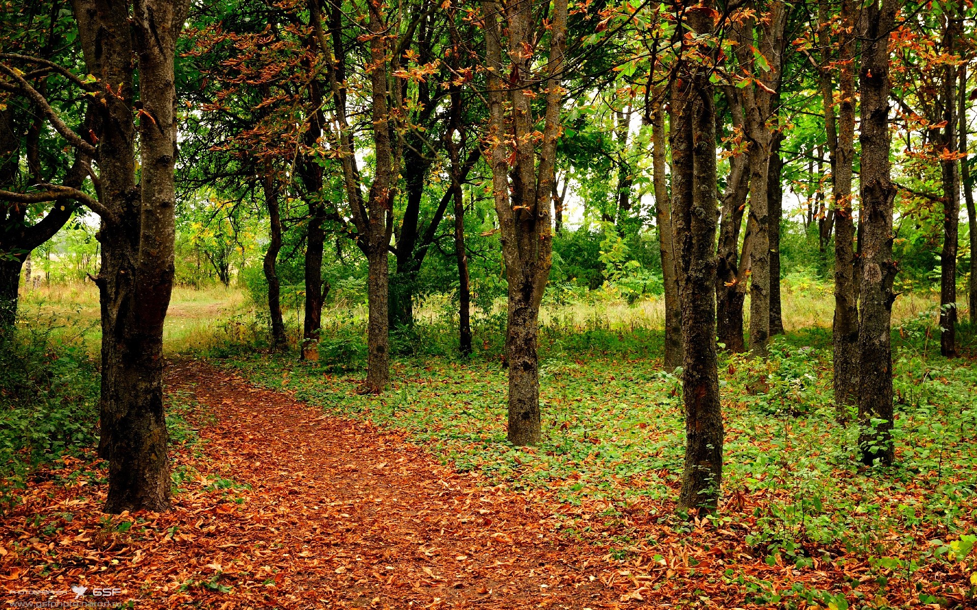 雷火电竞简介-伊拉克国足签约银河战舰，金玟哉被任命为新帅