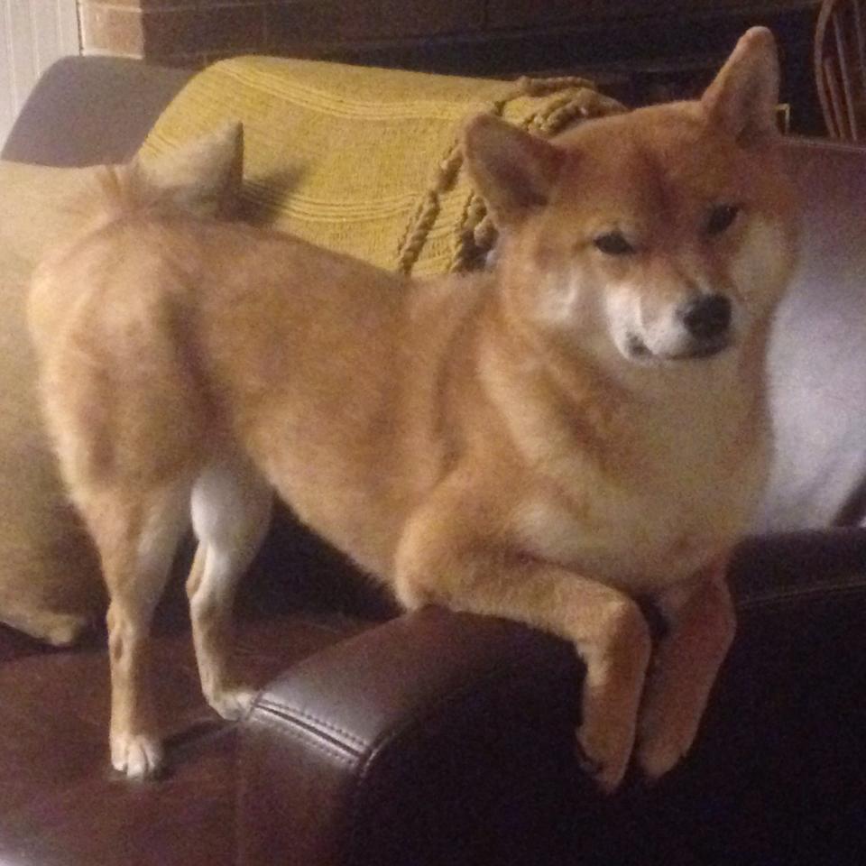 欧冠决赛之夜,凯恩关键进球定乾坤