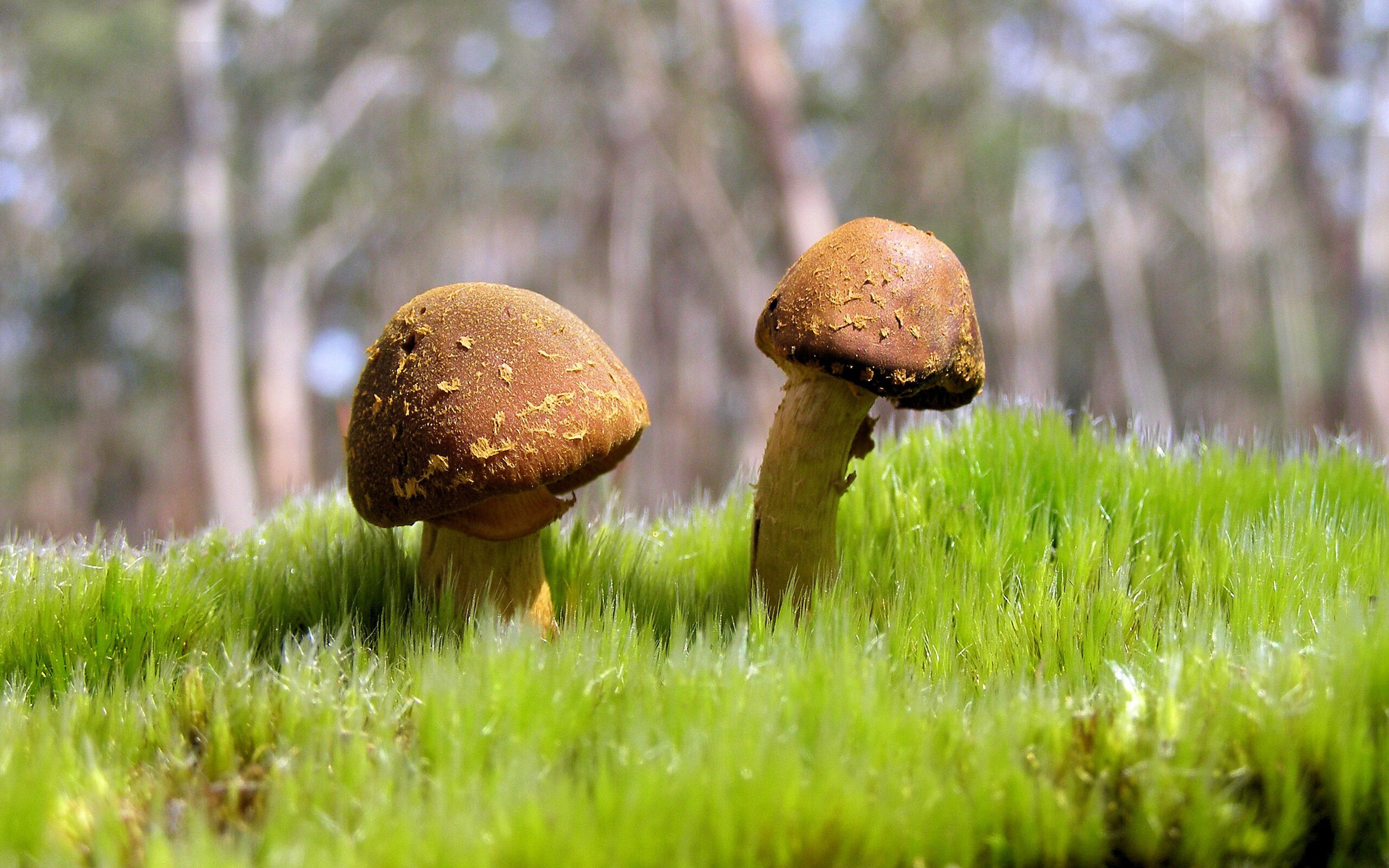 雷火电竞网站-末节风暴！老鹰在东决焦点战中逆转带走深圳队