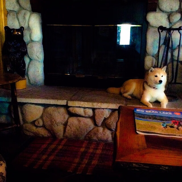 致命斜线,当无解巴雷拉遇见末节幽灵