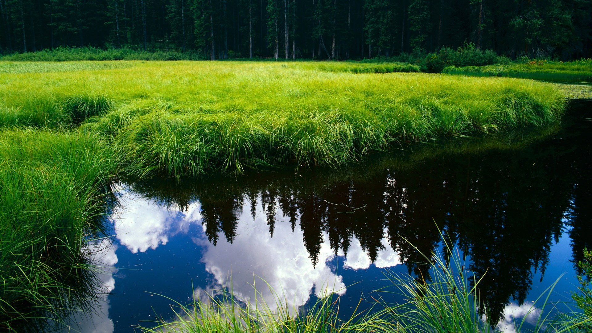 雷火电竞下载-雪原判官乔治，当纽约铁蹄踏碎天山主场