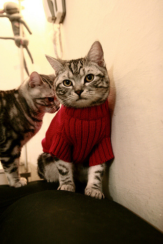 武切维奇化身大理石雕塑，步行者生死战以古典之美击碎76人