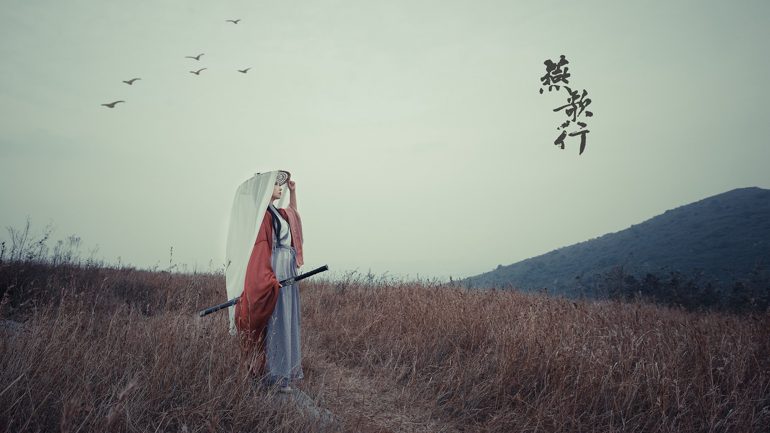 库里三分风暴单节击溃公牛，勇士延续主场不败神话