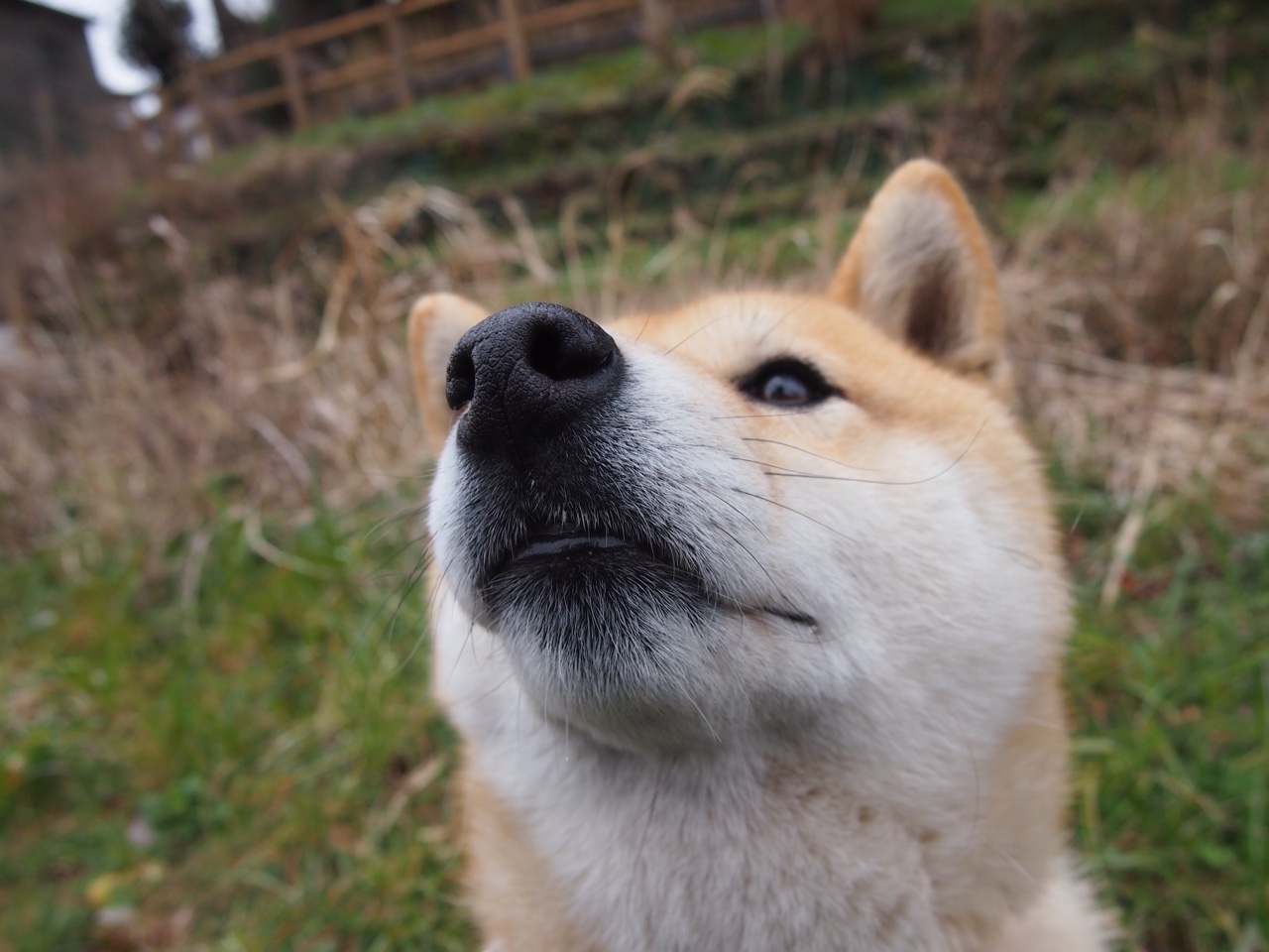 雷火电竞下载-钢闸与手术刀，卡瓦哈尔如何在法兰西之夜扼住命运的咽喉