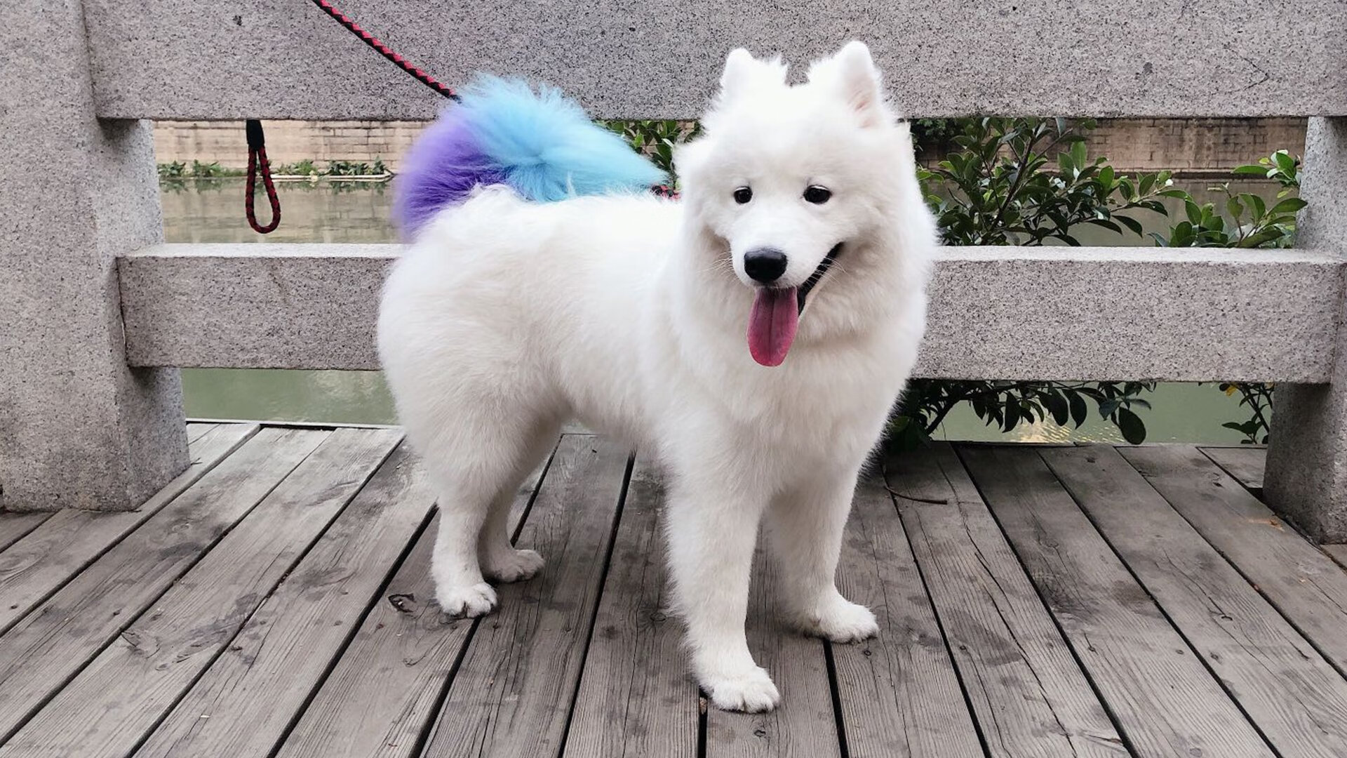 雷火电竞亚洲先驱-库里的战争，纽约新王诞生夜，老鹰折翼麦迪逊