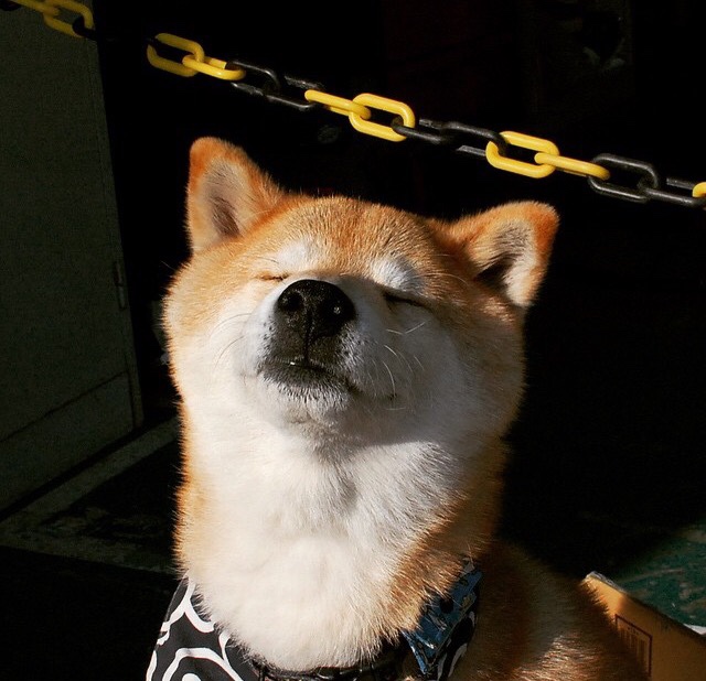 绿茵场上的抢七决战，马德里竞技如何制霸哥伦比亚足球灵魂