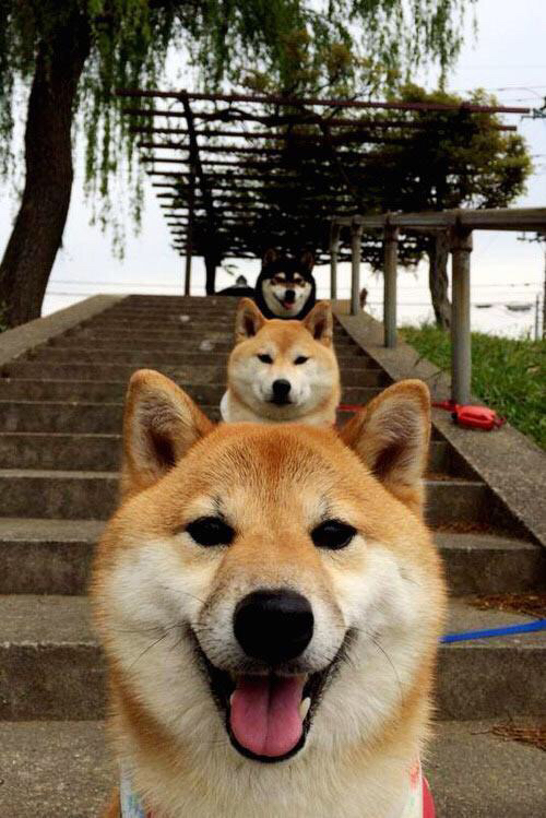 雷火电竞下载-逆袭之夜！山西打破旧秩序，抢七绝境创历史