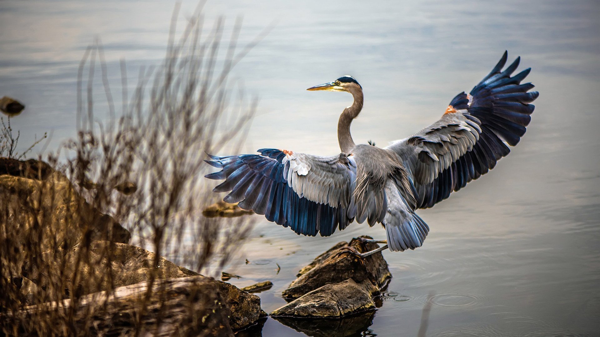 雷火电竞充值-跨洋对决！新疆队强压NBA快船，克莱汤普森上演压制级三分雨