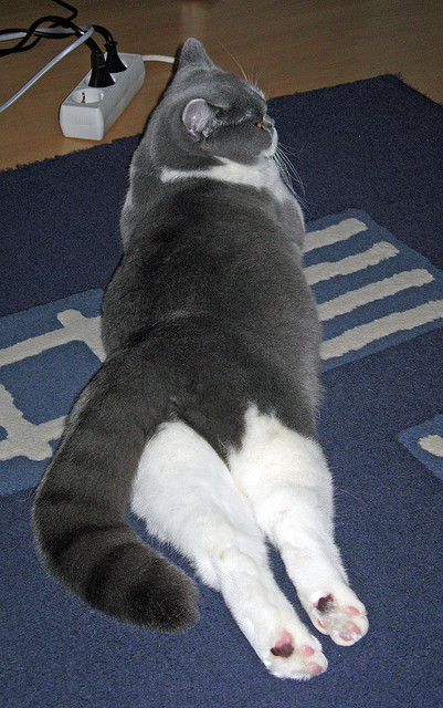 雷火电竞网址-当最锋利的矛刺穿最坚韧的盾，三笘薰一稳定乾坤