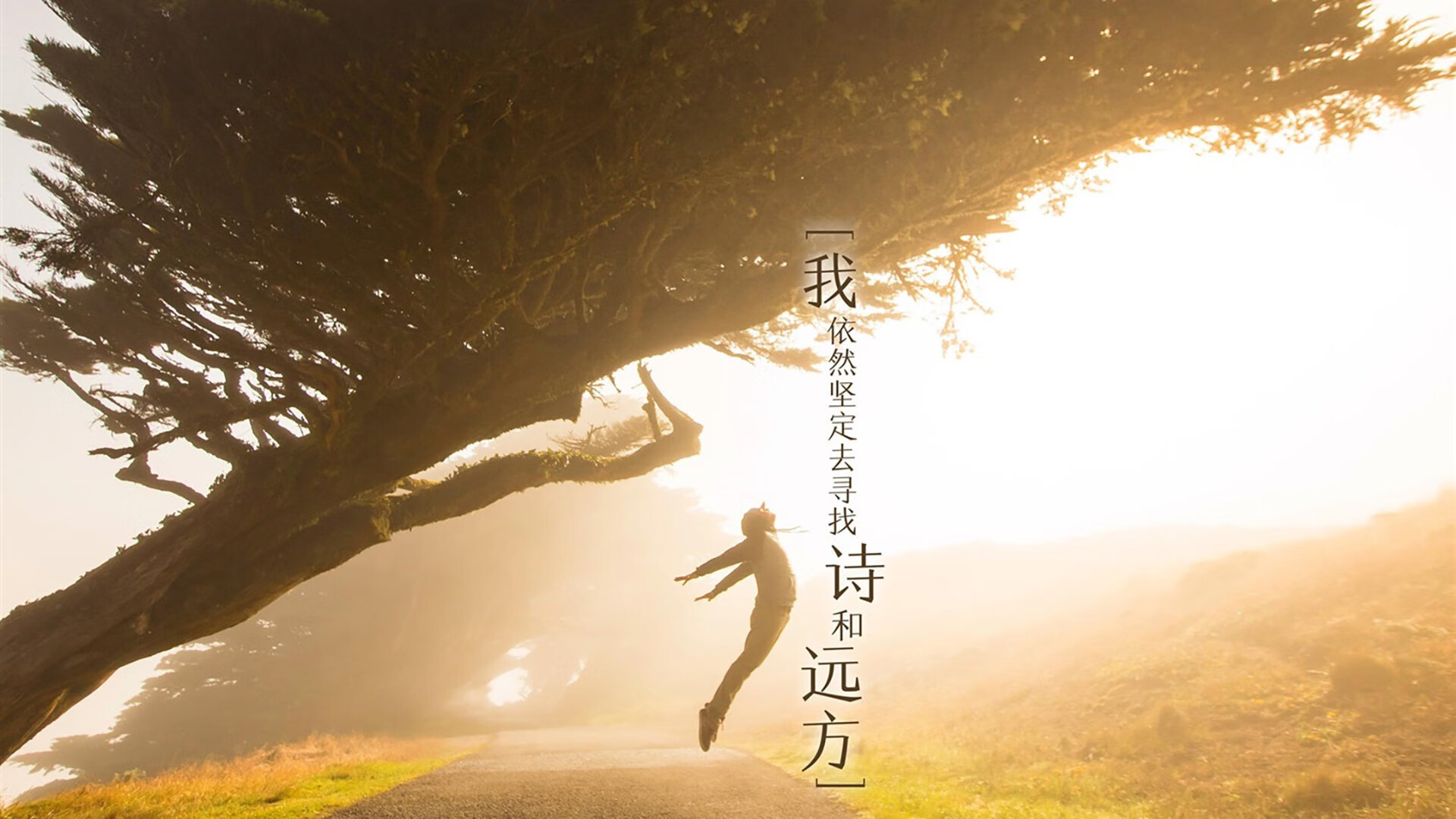 雷火电竞亚洲先驱-2026，当星月与狮王在蓝海相遇，罗德里戈的孤勇者之夜