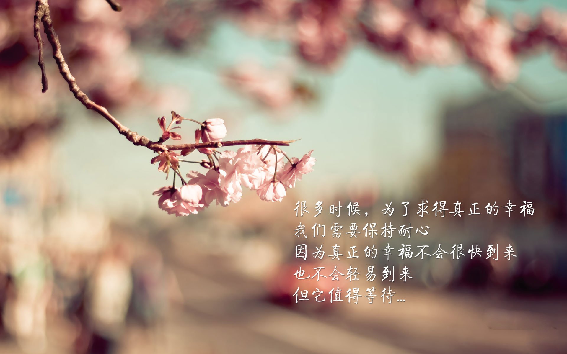 雷火电竞入驻-沙漠风暴与魔笛回响，2026世界杯F组，美国完胜伊拉克，莫德里奇用最后一舞定义永恒